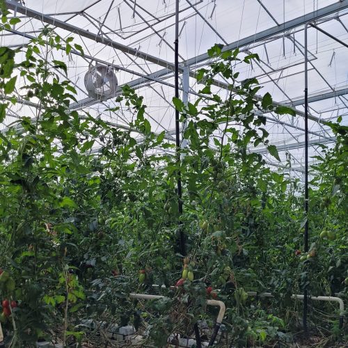 DMEAG-Projektreferenz-20241014_140805